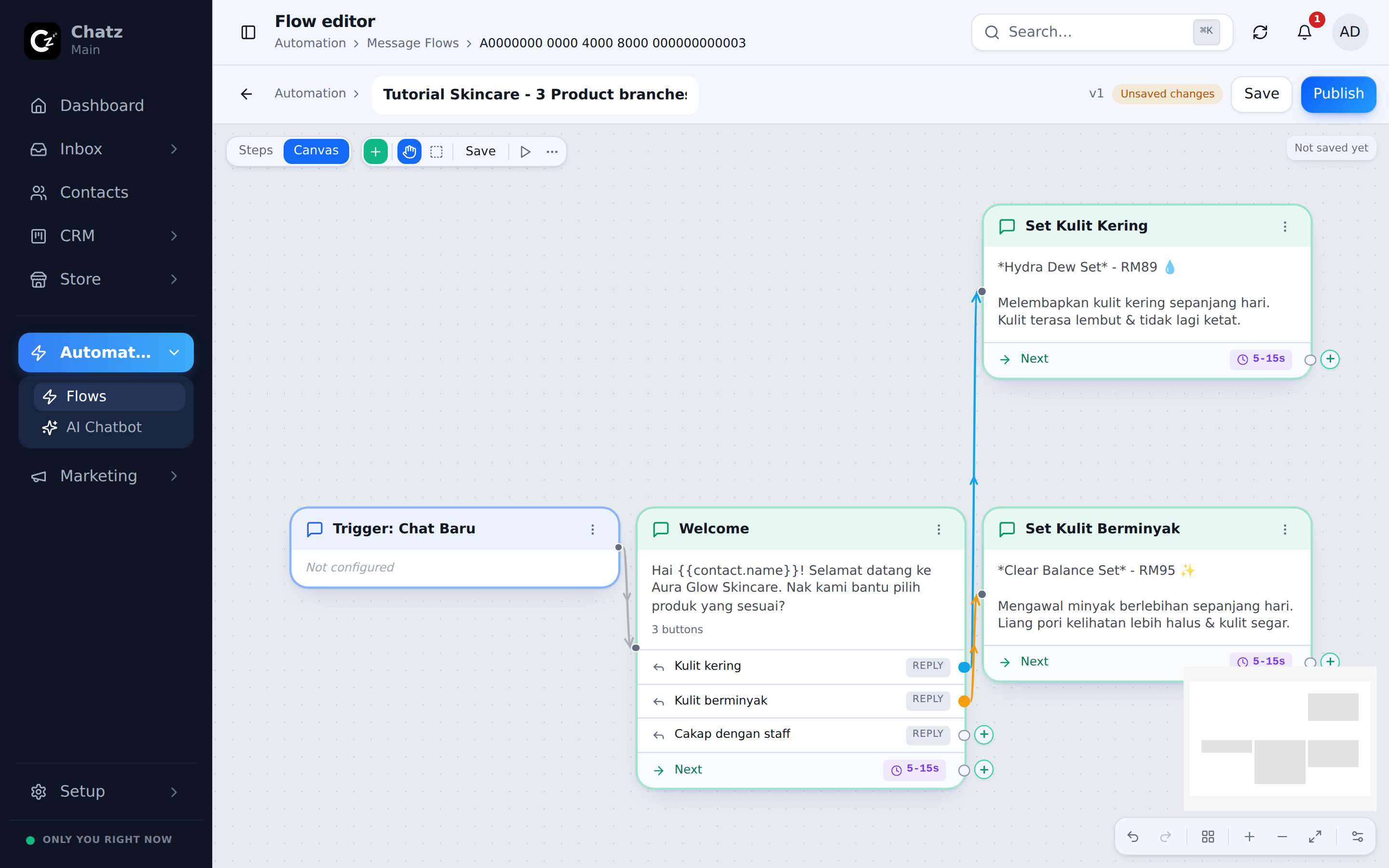 The canvas with the two product recommendation branches
