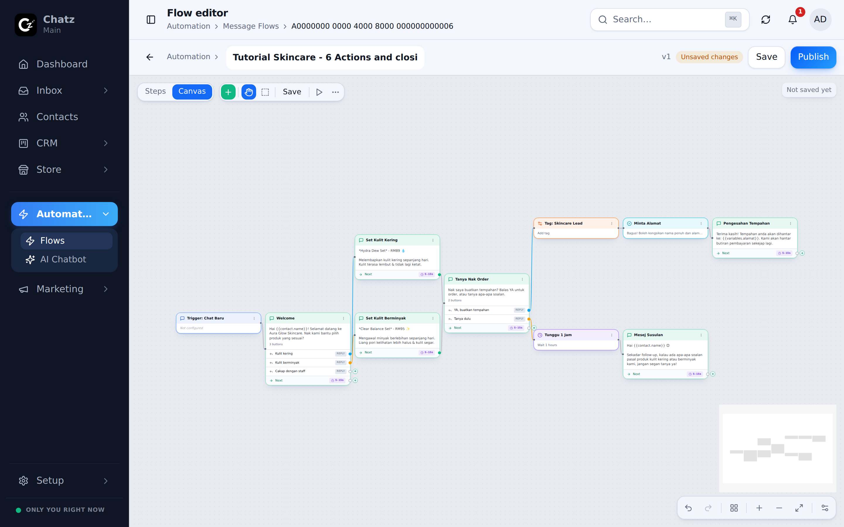 The canvas with the delay and follow-up message branch