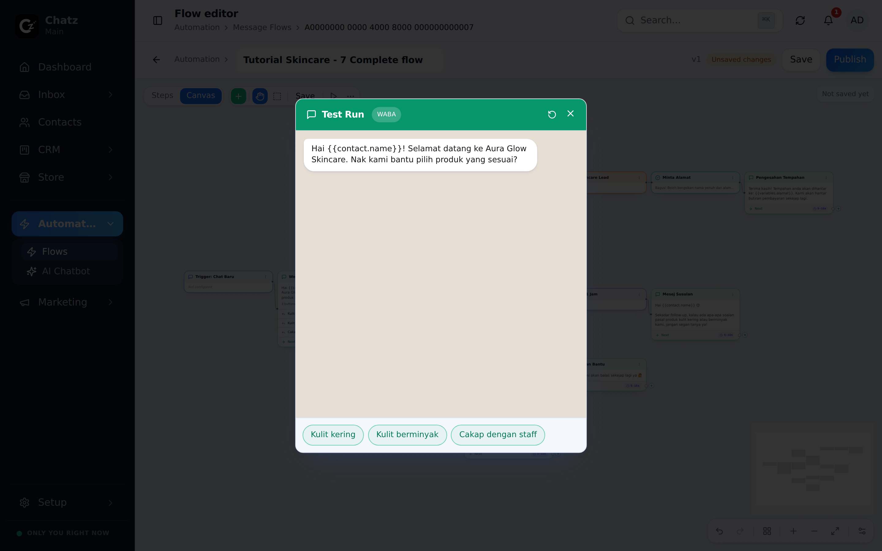 The Test Run simulator over the finished flow